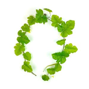 Verde appesa foglia artificiale di Monstera viti di plastica foglie di giungla verde per piante Decorative - Product Image 3