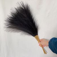 55CM Pampas Herbe Nordique Boho Décoration Artificielle Quenouille Artificielle Herbe De Roseau