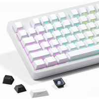Gradient Keycap Set PBT Double Shot Side Print Shine Through Backlit OEM Keycaps for MX Switch Gaming Mechanical Keyboard