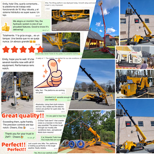 Rst L012 Ce Epa Euro 5 Điện Spider <span class=keywords><strong>Crane</strong></span> Xách Tay Nâng Cần Cẩu Máy Xây Dựng 3 Tấn Crawler 2T 3 T 5T 8T Mini Spider <span class=keywords><strong>Crane</strong></span> - Product Image 5