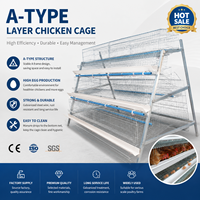 Cage à poules pondeuses fabriquée en usine, équipement avicole pour le marché mondial, système de production d'œufs à haute efficacité