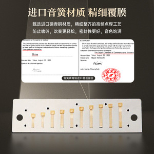 Harmonica Flying Fan Premium à 10 trous Sp20, bleu, argent, noir, instrument de musique pour adultes, débutants, étudiants, utilisation en classe - Product Image 3