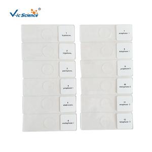 <span class=keywords><strong>Cebolla</strong></span> antera meiosis 12PCs <span class=keywords><strong>microscopio</strong></span> preparado botánica diapositivas - Product Image 2