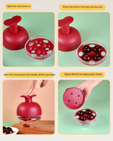Eén-secondenpers 4-gaats kersenontpitter machine van ABS plastic, fruitontpitter, keukenhulpje voor het maken van jam & cake