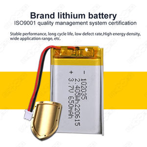 <span class=keywords><strong>3</strong></span>.7V聚合物锂离子电池800毫安时<span class=keywords><strong>3</strong></span>.7V锂聚合物电池医用锂电池 - Product Image 2