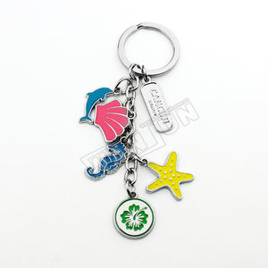 चाबी का गुच्छा के साथ निर्माता थोक ODM OEM कस्टम महासागर धातु कुंजी अंगूठी श्रृंखला - Product Image 5