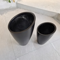 Jardinières modernes minimalistes noires avec topiaire circulaire verte pour la décoration intérieure