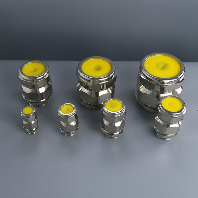 High Quality IP66 Double Seal Compression Stainless Steel Cable Gland Explosion Proof for Armoured Cable