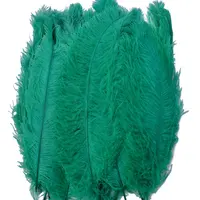 Gros 24-26 pouces vert panache d'autruche plume d'autruche sprime femina pour plumes d'autruche en vrac