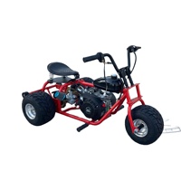 Mini Trike à Essence pour Adultes, 3 Roues, Tout-Terrain, Karting, Véhicule de Course en Montagne