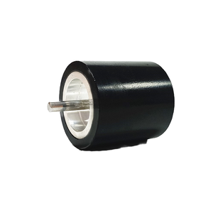 Rotore/Statore Magnetico Permanente al Neodimio a 6 Poli con Costruzione Sovrastampata in Plastica Certificata TS16949 per Uso Motore ad Alta Velocità e Bassa Tensione - Product Image 1