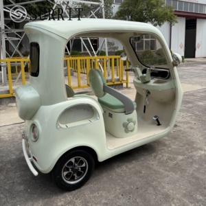 SURRIT Independence 750W 48V, housse de pluie, capacité de 550 LBS, tricycle électrique confortable pour les sorties de loisirs et les pique-niques - Product Image 5