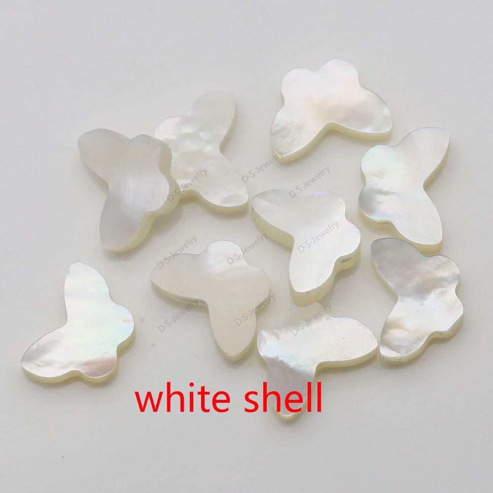 เปลือกหอยสีขาว