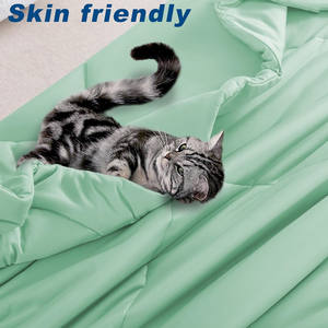 Couette rafraîchissante d'été double face légère personnalisée <span class=keywords><strong>Couverture</strong></span> rafraîchissante pour les dormeurs chauds - Product Image 5