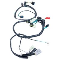 Harnais électronique personnalisé Hooha, assemblage de faisceau de câbles, conducteur en cuivre étamé, gaine en nylon/PVC, moto TRX450R