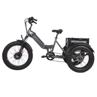 Kuake pneu de gordura adulto triciclo, alta qualidade, oem, 48v, 500w, três rodas, triciclo elétrico