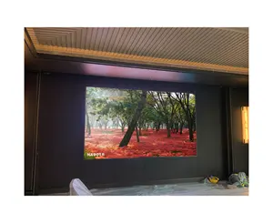 3D transparent Wall LED Screen Outdoor Advertising Transparent Led Screen For Retail Stores