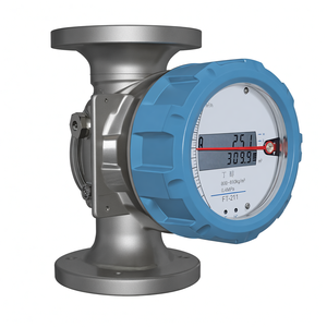 NUEVO Medidor de Flujo de Tubo Flotante de Metal de Oriente Medio de Beijing FEF3000-2R0DN25M4C Venta Directa de Fábrica - Product Image 3