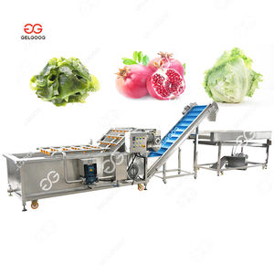 Gelgoog 1 T/H Chili Tomaten gemüse Saubere Trocknungs linie Blase Obst Gemüse Wasch-und Trocknungs maschine - Product Image 1