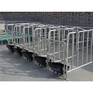 Pig farming equipment Sow positioning pen sow farrowing bed Pig raising equipment cage