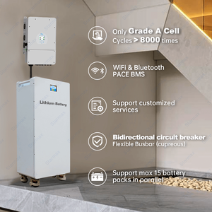 Batterie de stockage d'énergie domestique au lithium-ion 15 kWh à prix d'usine avec 16 cellules LiFePO4 de grade A+ 280 Ah et BMS JK <span class=keywords><strong>PACE</strong></span> - Product Image 1
