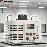 Régulateur de tension manuel monophasé série Wanbo-121 TDGC2 230V, transformateur variable en cuivre Variac 220V, sortie AC réglable 5