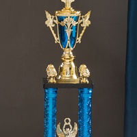 Fabricación de Trofeos de Plástico Personalizados con Logotipo, Universales, de Alta Calidad, Talla L, Modelo SZ01, a Precio Económico