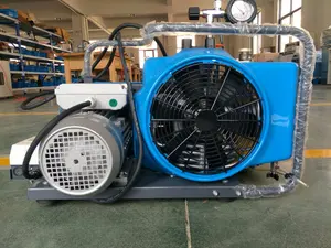 7-8bar Air Compressor Voor Scuba Ademhaling, Duiken En Scuba Snorkelen Water Sport Met Ademen Slang Met Filter En Regulator