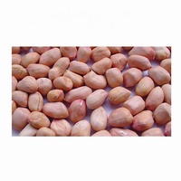 Vente directe d'usine de cacahuètes chinoises à peau rouge, qualité alimentaire, emballage personnalisable, matière première de transformation