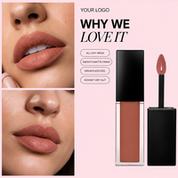 Rouge à Lèvres Liquide Mat Formule Personnalisée Marque Privée OEM ODM Usine de Maquillage Professionnelle Fournisseur de Beauté en Gros Conception de Marque