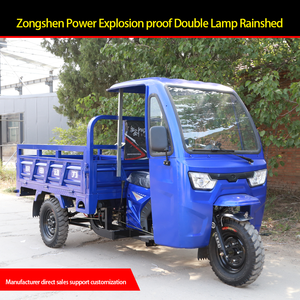 <span class=keywords><strong>Triciclo</strong></span> de Gasolina <span class=keywords><strong>con</strong></span> Motor de Gasolina 2025 en Oferta, <span class=keywords><strong>con</strong></span> <span class=keywords><strong>Techo</strong></span>, Refrigeración por Aire y por Agua, Marca Aboboyaa - Product Image 2