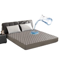 Protecteur de matelas imperméable Cloudland, housse de lit imperméable, protecteur de matelas, taille king
