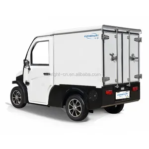 2023 EEC COC CE Niedriger Preis Großhandel 2 Sitze City Mini Van Truck Elektroauto Elektro fahrzeug