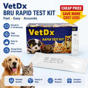 Prueba veterinaria para perros y gatos: <span class=keywords><strong>Dirofilaria</strong></span> (CHW) - Precio de fabricante para uso en hospitales veterinarios - Product Image 1