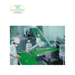 Hotsale Industrial Green Bean Gefrorene Erbsen Verarbeitung linie Schnell gefrier produktions maschine Zucker mais Gefrier schrank - Product Image 4