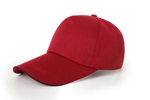 Gorra de Béisbol Deportiva Unisex Personalizada con Bordado, Gorras Trucker Ajustables con Cierre a Presión y Logotipo Personalizado - Product Image 2