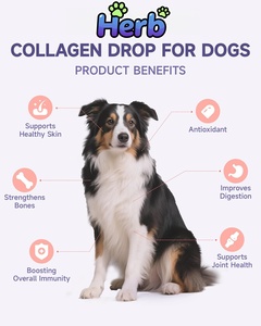 Dog <b>Collagen</b> Drops with <b>Biotin</b> MSM Ginger Vitamins C & E-Grain-Free Supplement for Skin & Coat Joint Health Digestion & Immunity - Product Image 2