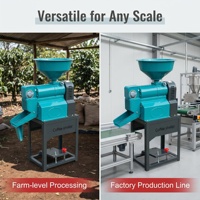 Machine à décortiquer les grains de café à haut rendement, en acier inoxydable, capacité 100 kg/h, efficace pour éliminer la peau de café séché