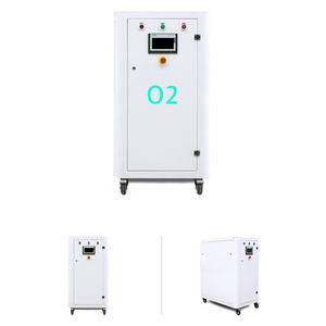 Draagbare 40lpm 93% Zuiverheid Zuurstofconcentrator Zuurstofgenerator Voor Ziekenhuis En Thuis - Product Image 6