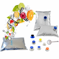Sac aseptique réutilisable et recyclable de 5 L pour jus de fruits, vin, eau, lait, vodka, bière, eau minérale en boîte avec valve, pochette pour boisson