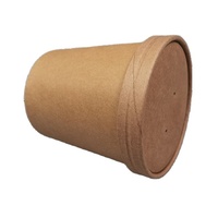 Bol en papier kraft biodégradable tasse à soupe chaude avec couvercle