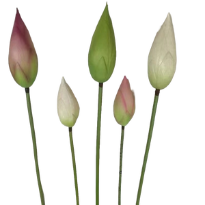 2025 más nuevo 93cm solo PE Artificial Lotus Bud Spray graduación Navidad Día de San Valentín Día de la madre nueva Pascua Acción de Gracias - Product Image 1