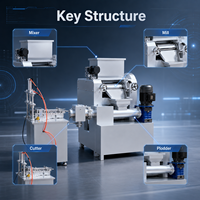 Machine à savon à lessive à petite échelle, capacité de 20 à 200 kg/h, pour production à domicile, faible investissement, rendement élevé sur l'investissement