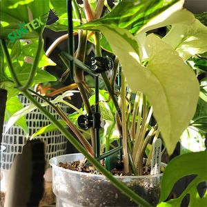 Clips de plástico para plantas de jardín con cabeza en forma de Margarita Clips para plantas Clips de soporte para orquídeas - Product Image 5