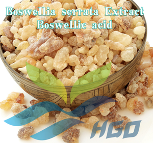 Suministro directo de fábrica HGO de extracto natural puro de Boswellia serrata (grado alimenticio) Ácido boswellic 45%-95% (extracto estandarizado) - Product Image 2