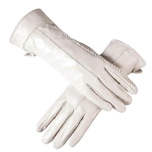 Gants de Falconerie Premium avec Logo Personnalisé OEM ODM, Protection des Mains en Cuir Renforcé de Haute Qualité, Fournisseur d'Usine - Product Image 1
