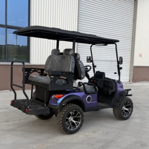 Carrito de Golf Eléctrico Mini <span class=keywords><strong>Moke</strong></span> Certificado por la CE, con Batería de 12V100AH y 60V, para 3-4 Pasajeros, Alcance de 70-110 km - Product Image 6
