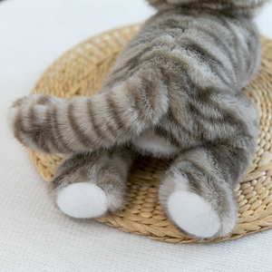 All'ingrosso simpatico gatto pigro di simulazione peluche realistico gatto imbottito animale PP cotone riempimento Stress sollievo per le occasioni di compleanno - Product Image 6