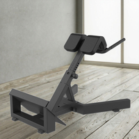 Chaise romaine réglable de machine de forme physique commerciale de logo personnalisé banc de gymnastique avec le banc plat en cuir et l'extension arrière pour la formation