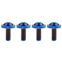 Set Baut Titanium PYTITANS Custom Gr5 M8, M6, M5, M10, Baut Titanium Hexagon Torx Flange Head Screws Gr5 M3 untuk Sepeda Motor dan Sepeda